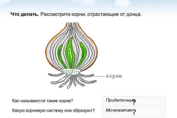 Официальная тор ссылка кракен сайта